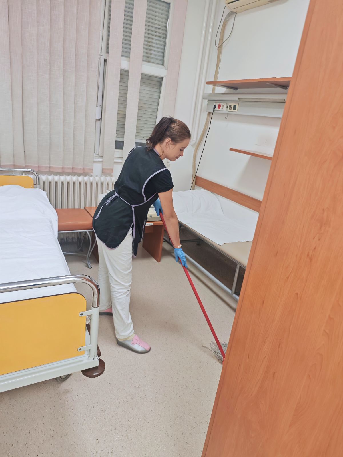 Maintenance and cleaning of the premises