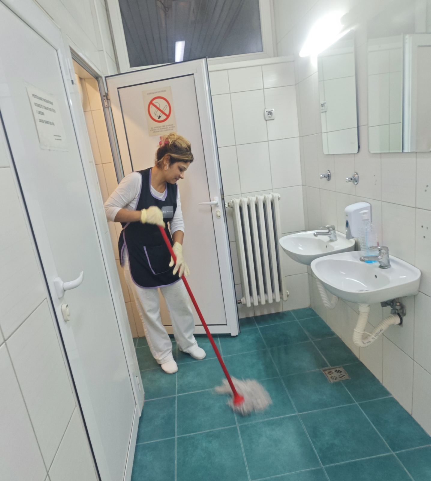 Maintenance and cleaning of the premises
