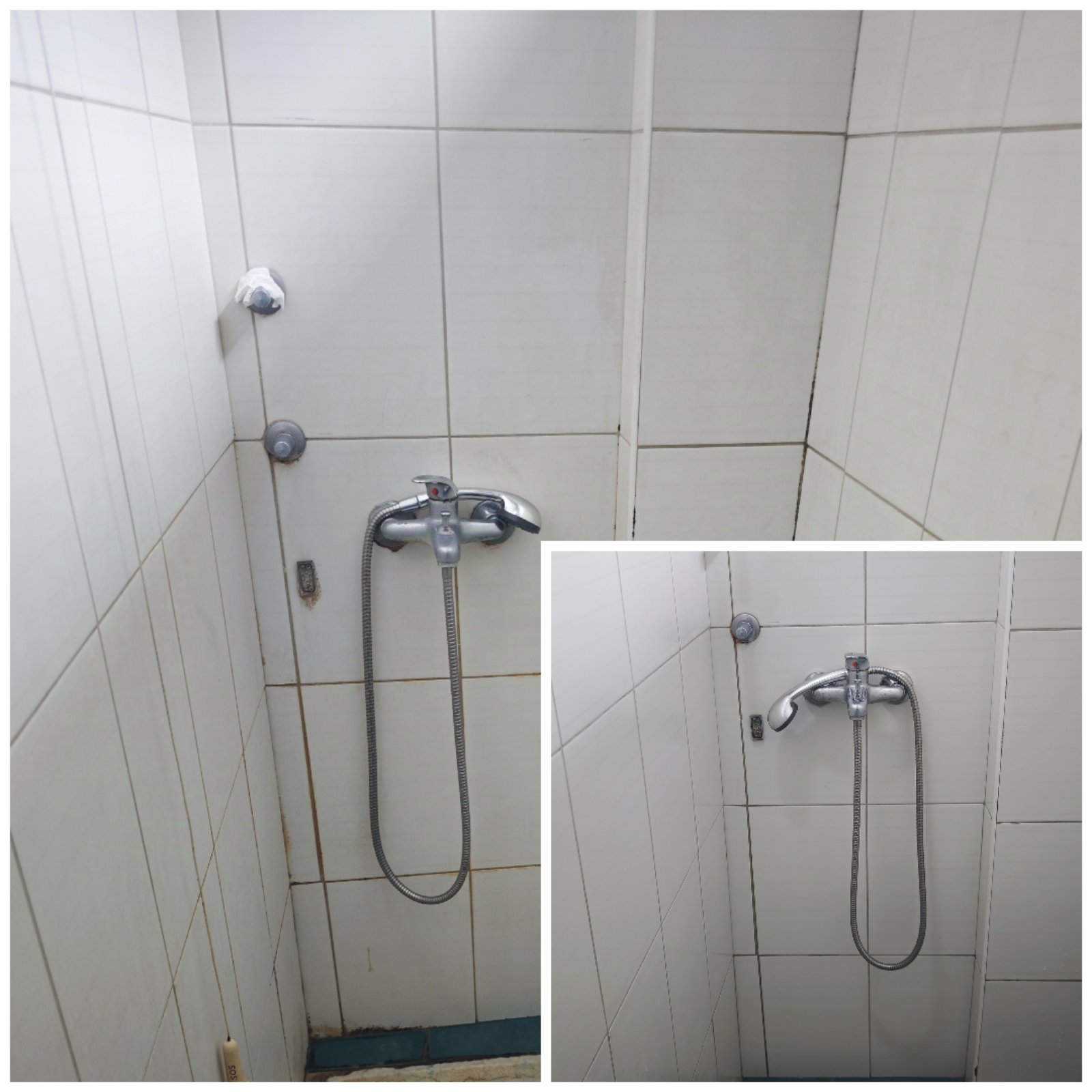 Maintenance and cleaning of the premises