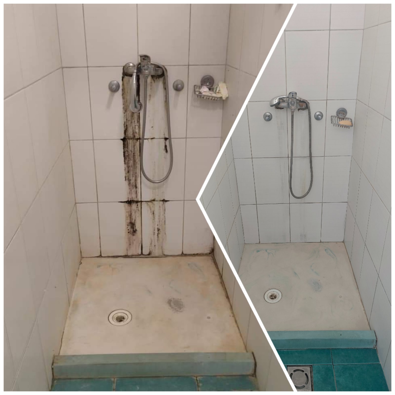 Maintenance and cleaning of the premises