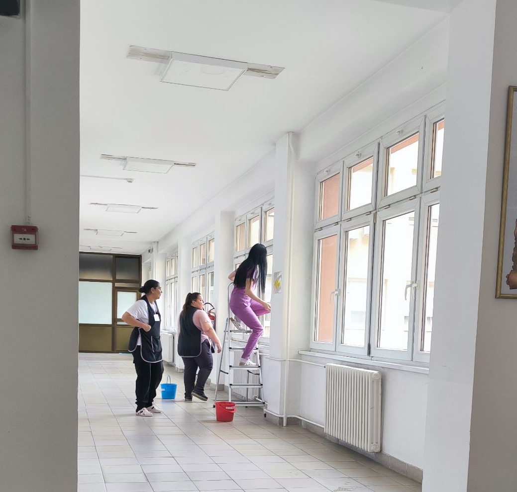 Maintenance and cleaning of the premises